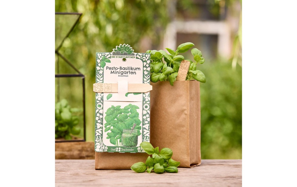 Die Stadtgärtner Kit de culture pesto basilic