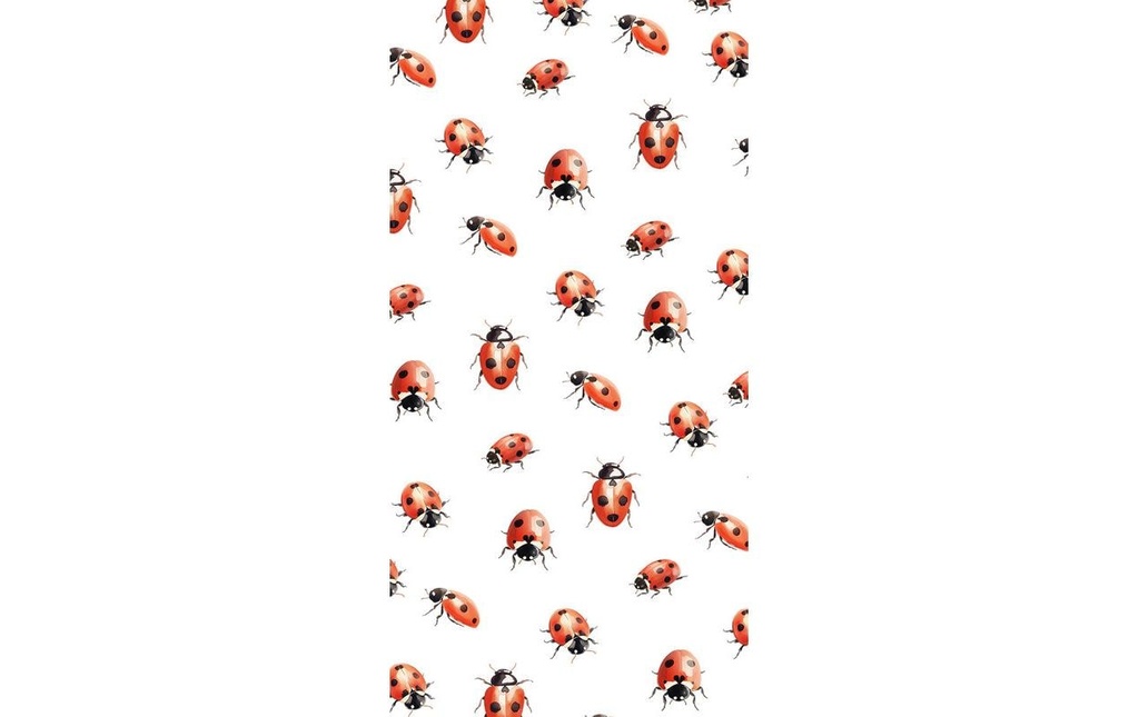 [436202621] VELUMIS Mouchoirs coccinelle (10 pces)