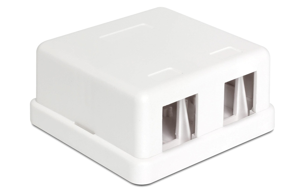 Delock Boîtier Keystone 2 ports