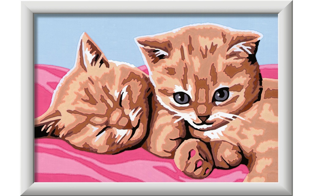Ravensburger Peinture avec chiffres Amis des chats avec des peintures acryliques