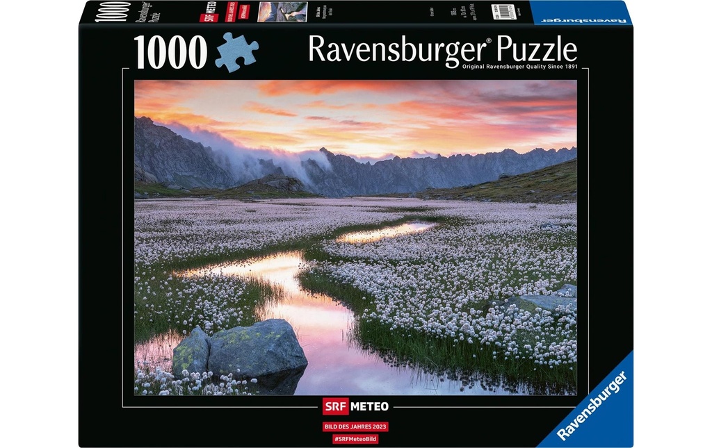 Ravensburger Puzzle Ambiance matinale au Tessin 1000 pièces