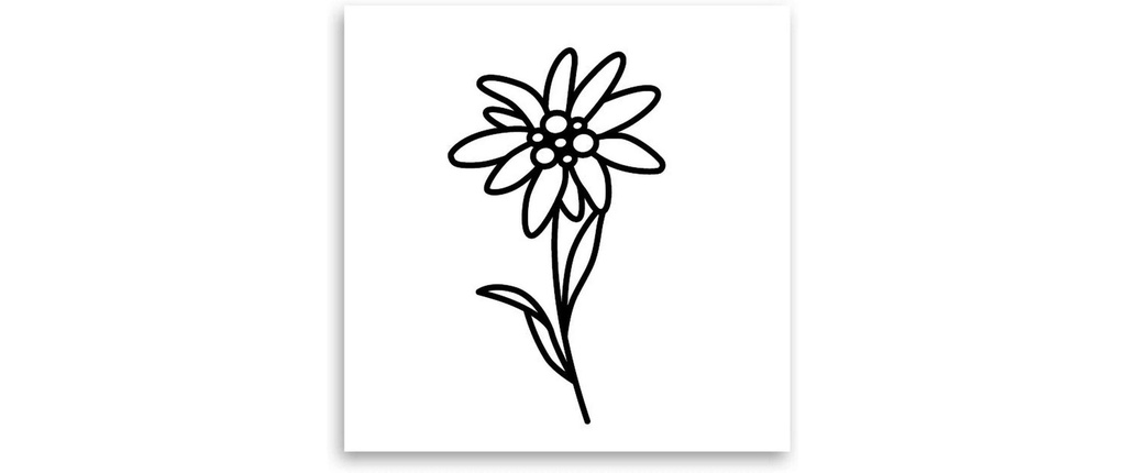 minink tatouage fleur d'edelweiss Taille: S (2.4 cm x 4,2 cm)