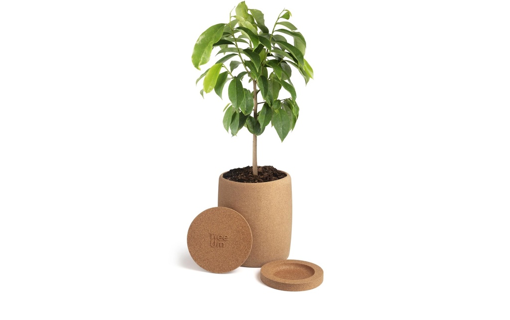 Tree Urn Cure de liège biodégradable pour animaux domestiques Brun clair
