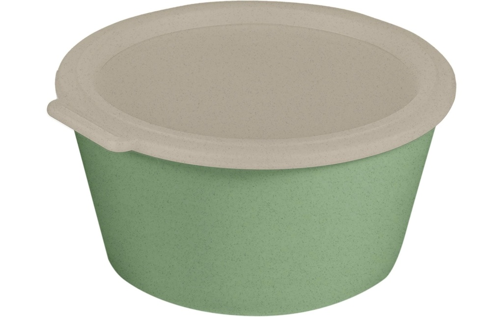 Koziol Coupe Move Box avec couvercle 2.2 l, Vert
