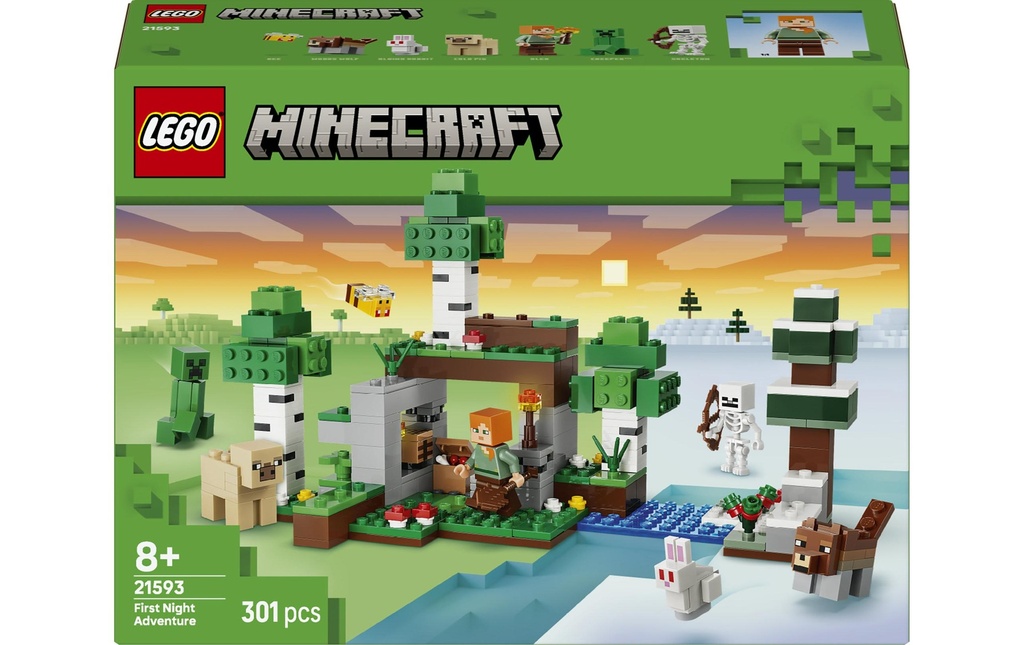LEGO® Minecraft L’aventure de la première nuit 21593