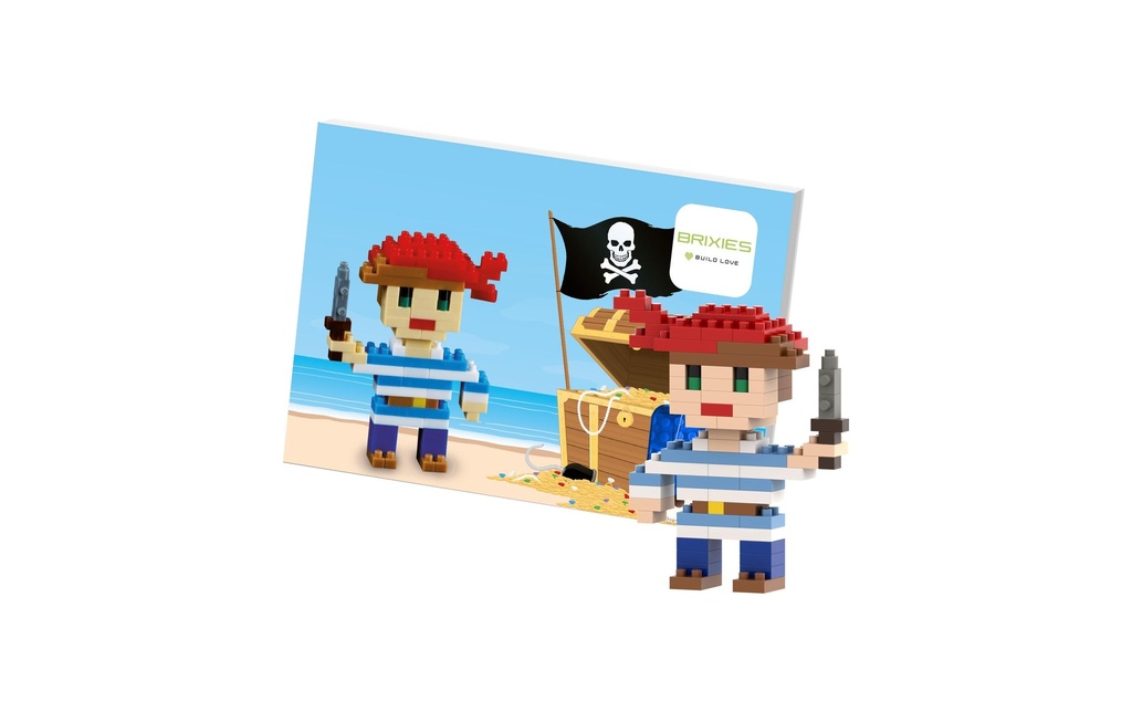 BRIXIES Modèle construction Pirate de 76 briques