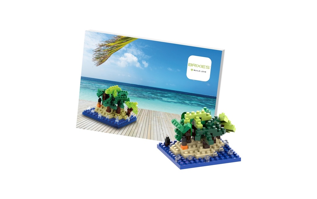 BRIXIES Modèle construction Happy Holiday de 95 briques