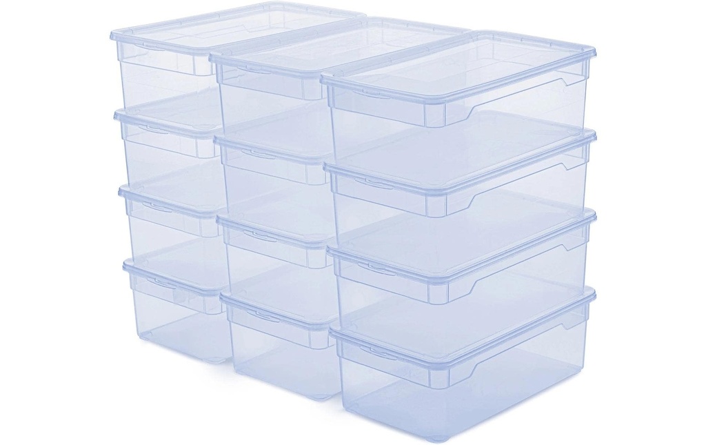Rotho Boîte de rangement Clearbox 5 l, 12 pièces