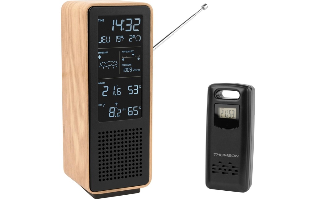 Thomson WS102 Haut-parleur Bluetooth, radio FM, bois