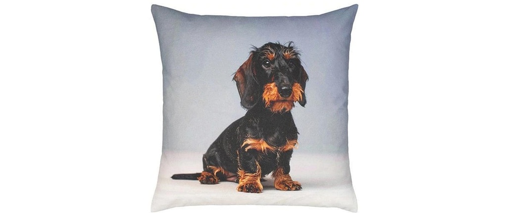 PROFLAX Housse de coussin Bodo 45 x 45 cm