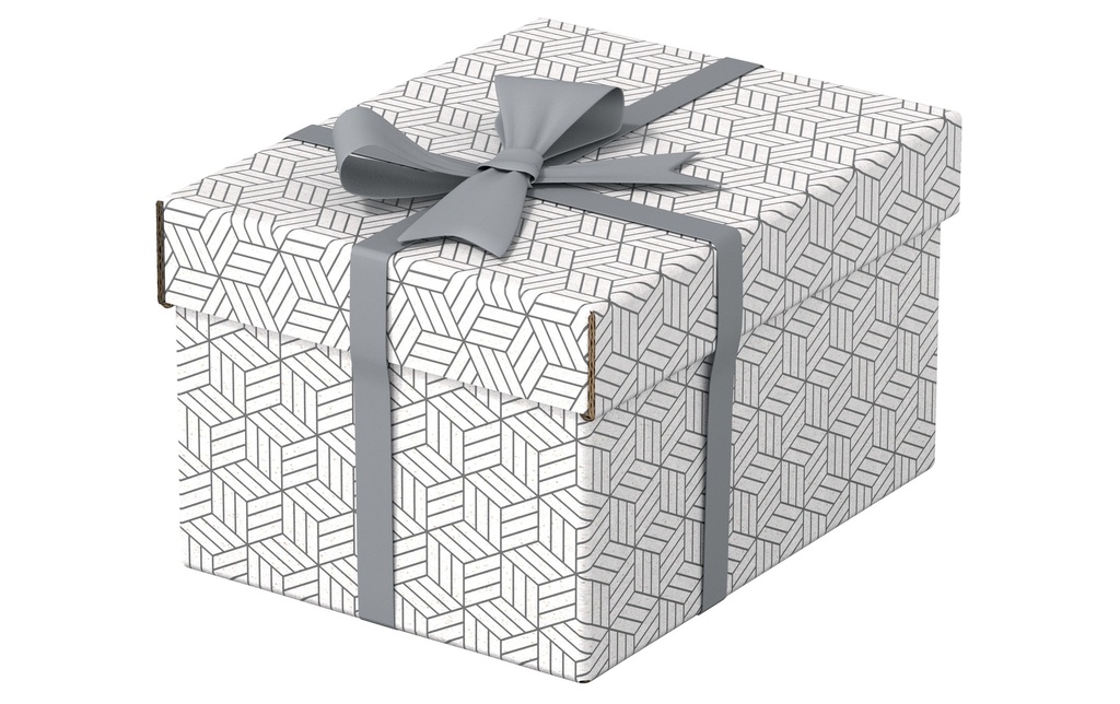 ESSELTE Box archive Home S 3pcs blanc (3 pces)