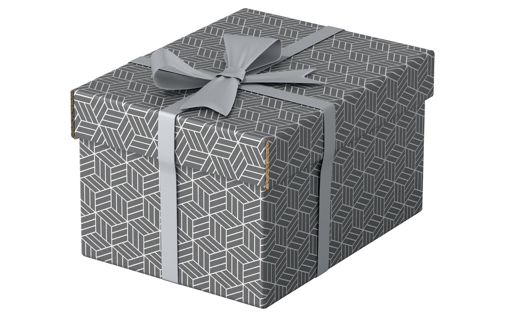 [123628281] ESSELTE Box archive Home S 3pcs gris (3 pces)