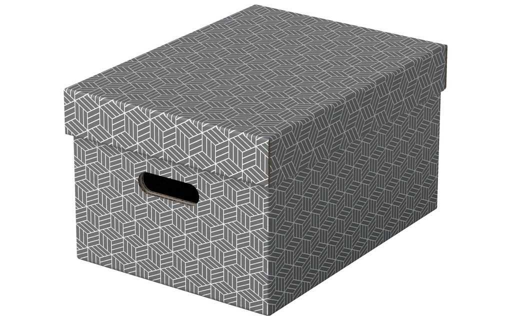 ESSELTE Box archive Home M 3pcs gris (3 pces)