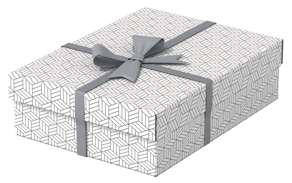 ESSELTE Box archive Home M plat 3p.bla (3 pces)