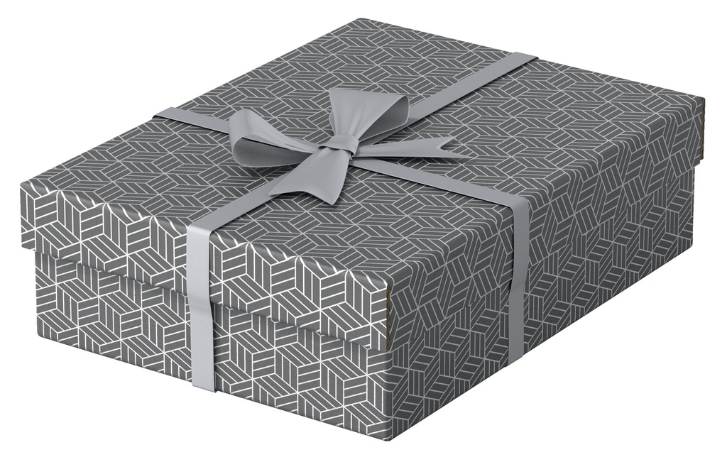 [123628285] ESSELTE Box archive Home M plat 3p.gri (3 pces)