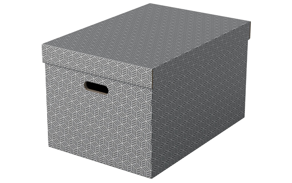 ESSELTE Box archive Home L 3pcs gris (3 pces)
