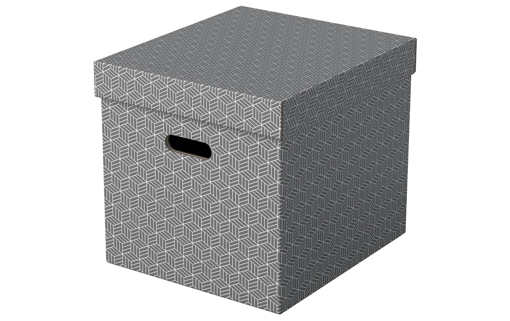 ESSELTE Box archive Home Cube 3p.gris (3 pces)