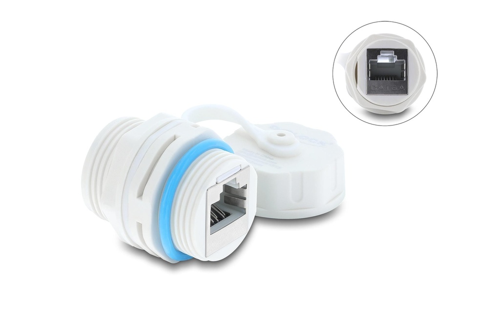 Delock Connecteur de câble RJ45 vers RJ45 Cat.6A 1 Pièce/s