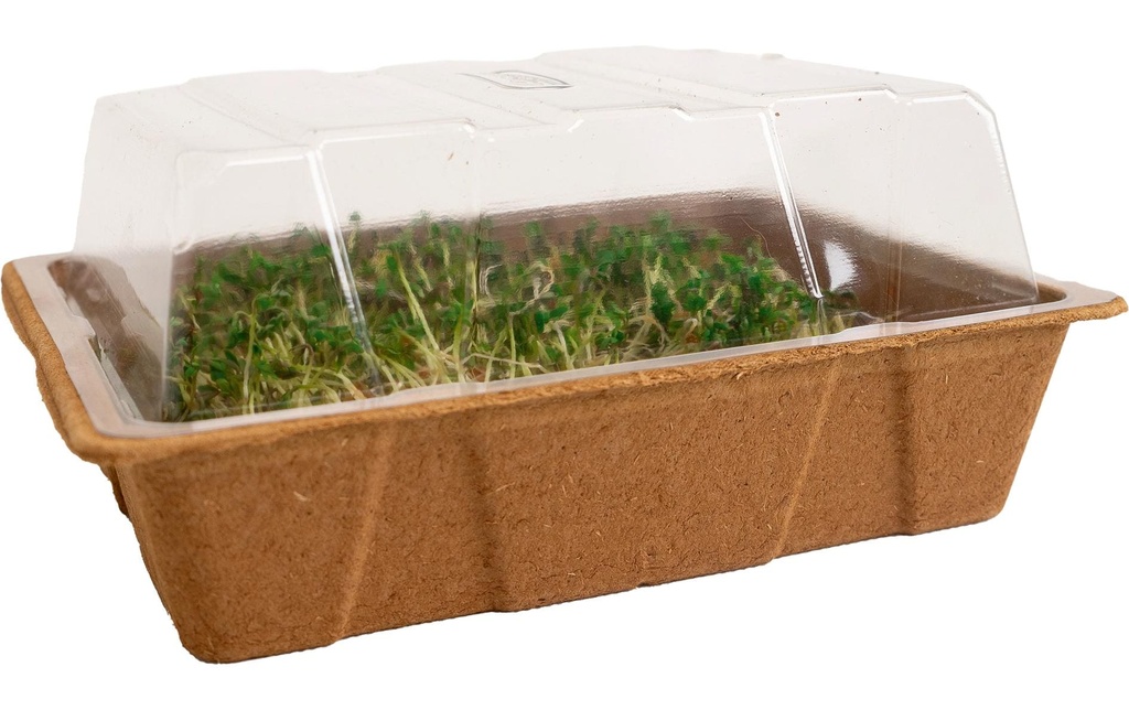 Romberg ECO MINI coques de cellulose biodégradables