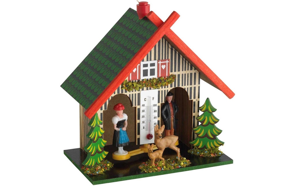 TFA Dostmann cabane météo 48.1501