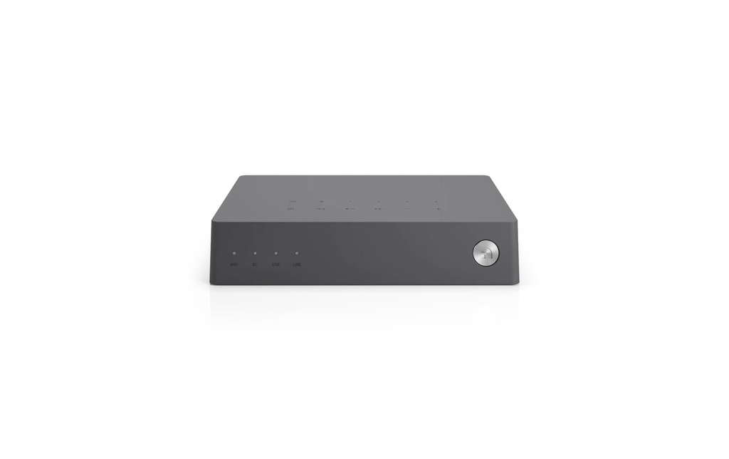 Audio Pro Lien 2 Gris foncé