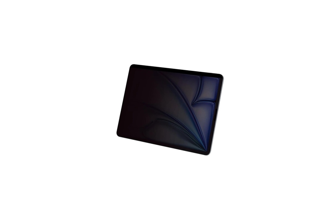 DICOTA Filtre de confidentialité à aimant à 2 positions pour Apple iPad Air 10.9