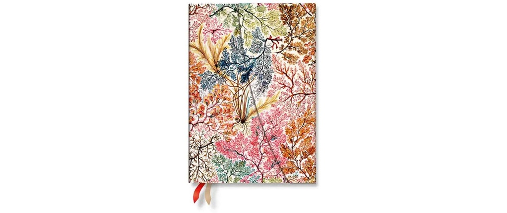 Paperblanks Agenda hebdomadaire Anémone 2027, Multicolore