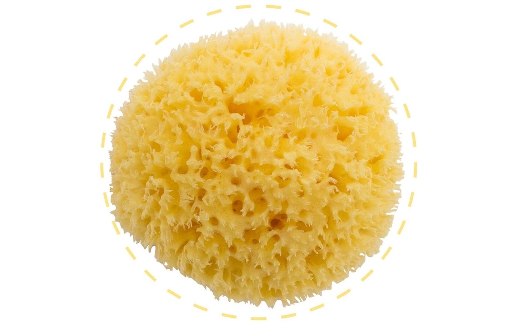 Bellini Baby Éponge naturelle blanchie Honeycomb n° 10 Jaune