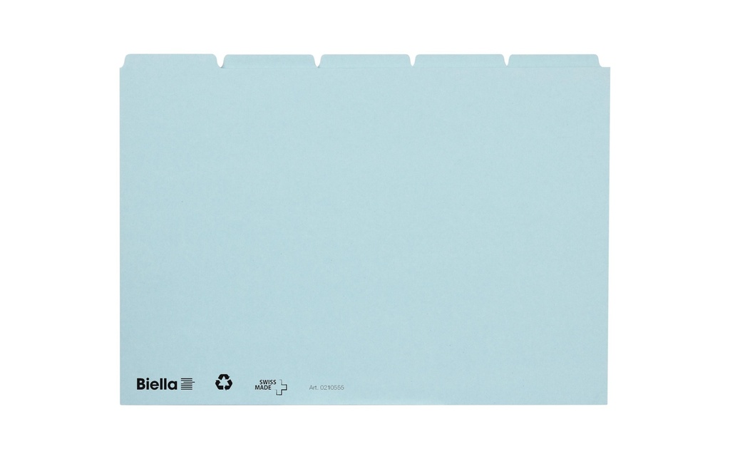 BIELLA Cartes-guides neutres  bleu (25 pces)