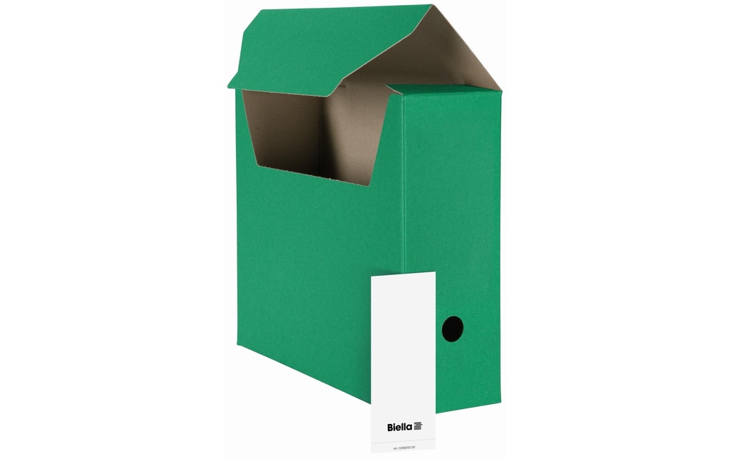 BIELLA Boîtes d'archives vert à 10pcs (10 pces)