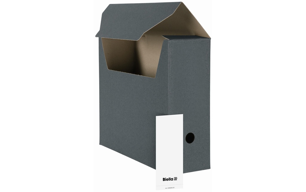 BIELLA Boîtes d'archives gris à 10pcs (10 pces)