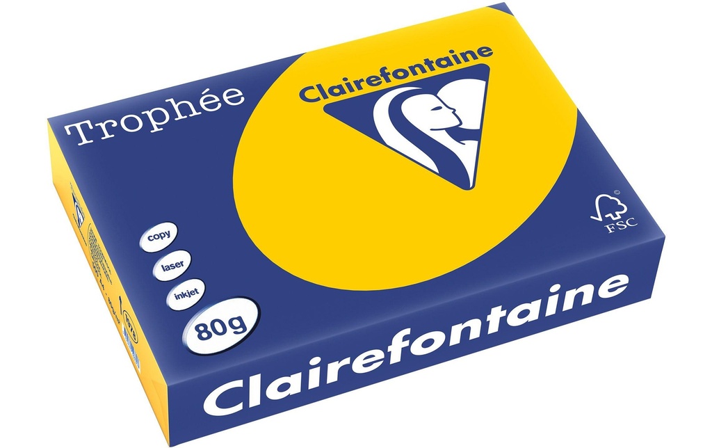 CLAIREFONTAINE Pap.copie A4 80g jaune soleil (500 pces)