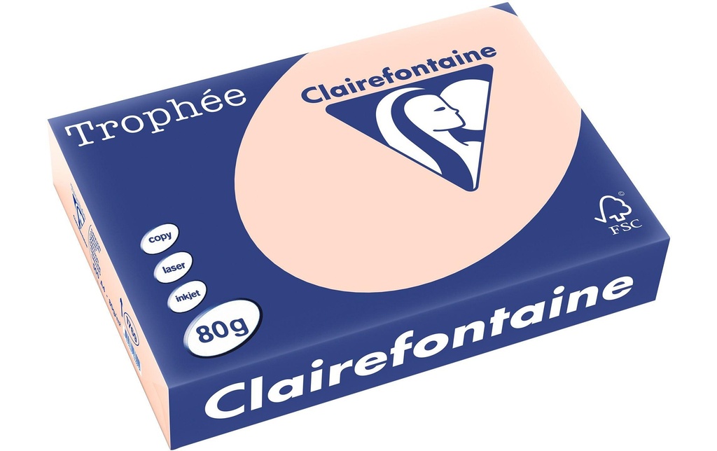 CLAIREFONTAINE Pap.copie A4 80g saumon (500 pces)