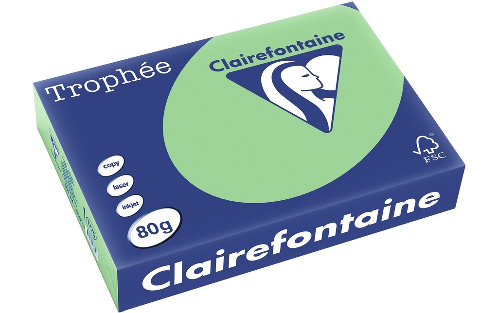 CLAIREFONTAINE Pap.copie A4 80g vert nature (500 pces)