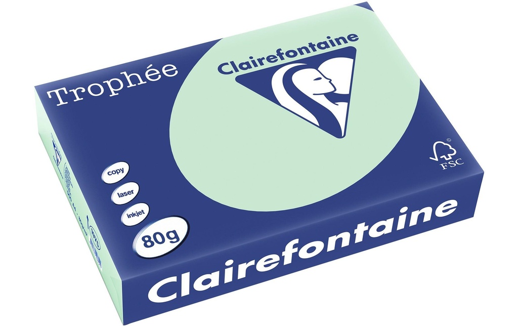 CLAIREFONTAINE Pap.copie A4 80g vert clair (500 pces)