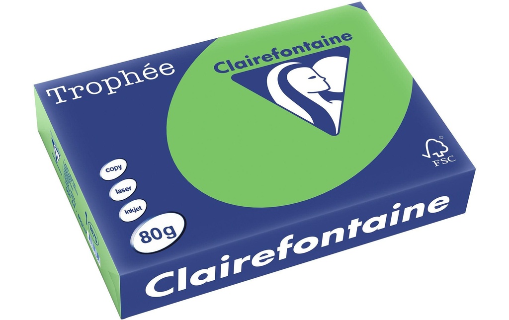 CLAIREFONTAINE Pap.copie A4 80g vert mai (500 pces)