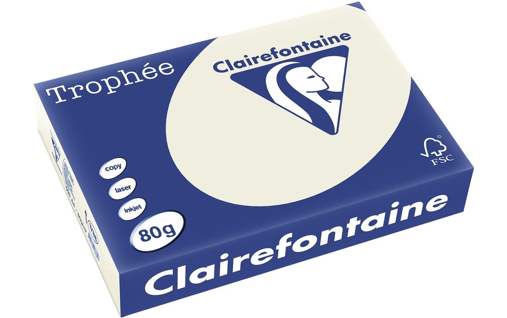 CLAIREFONTAINE Pap.copie A4 80g gris (500 pces)