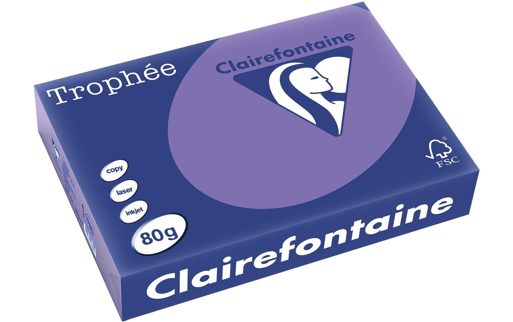 CLAIREFONTAINE Pap.copie A4 80g violet (500 pces)