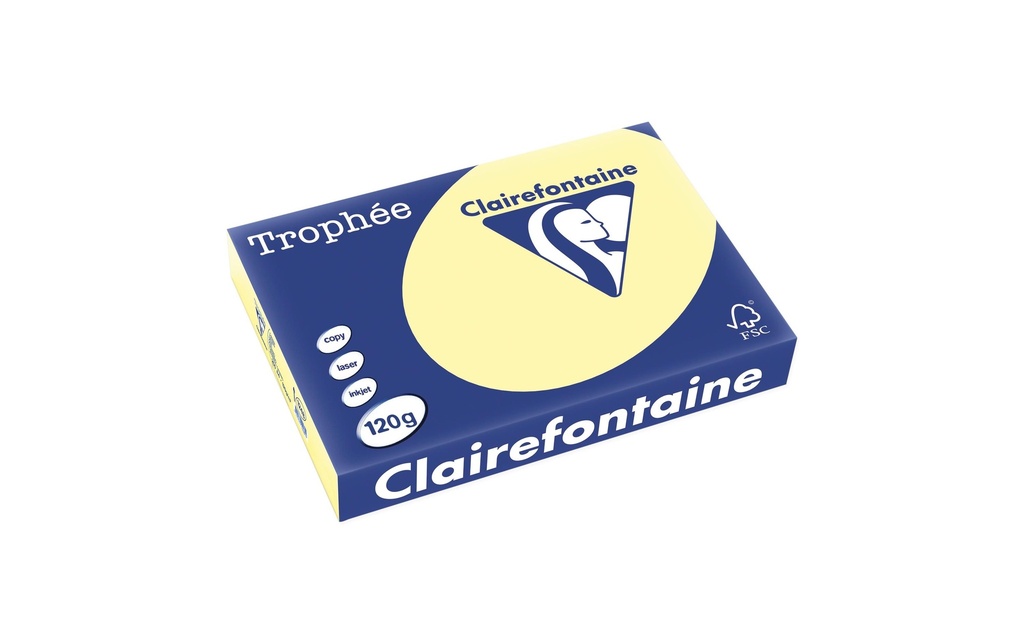 CLAIREFONTAINE Papier copie A4 120g jaune (250 pces)