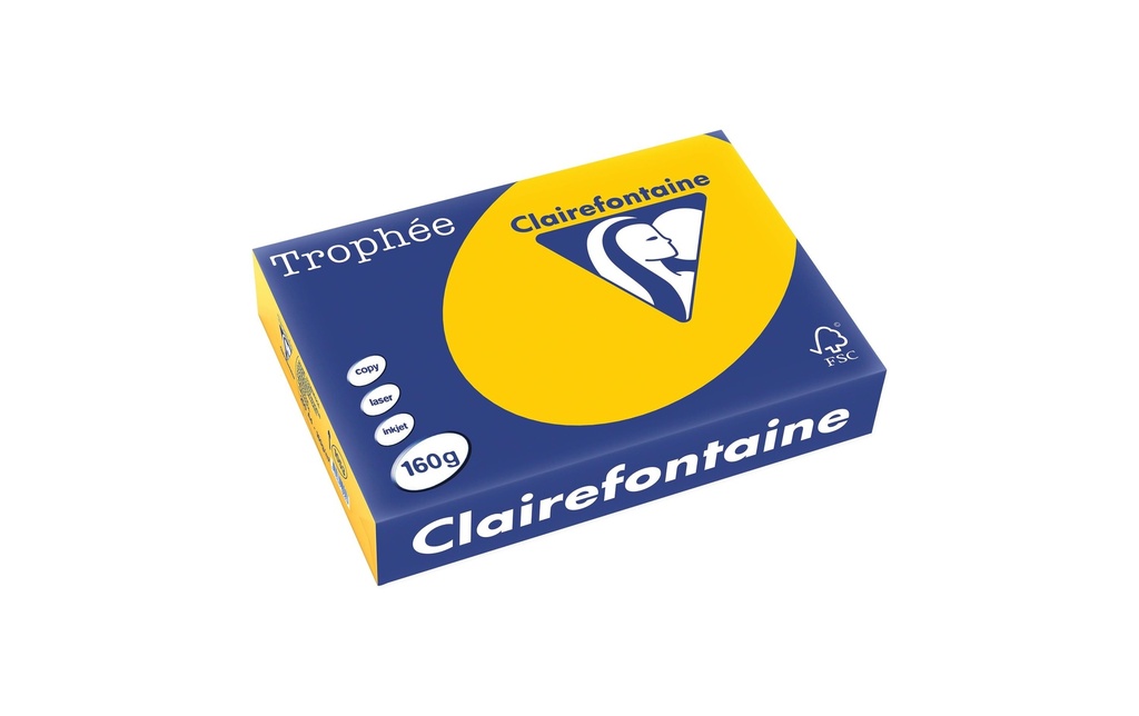 CLAIREFONTAINE Pap.copie A4 160g jaune solei (250 pces)