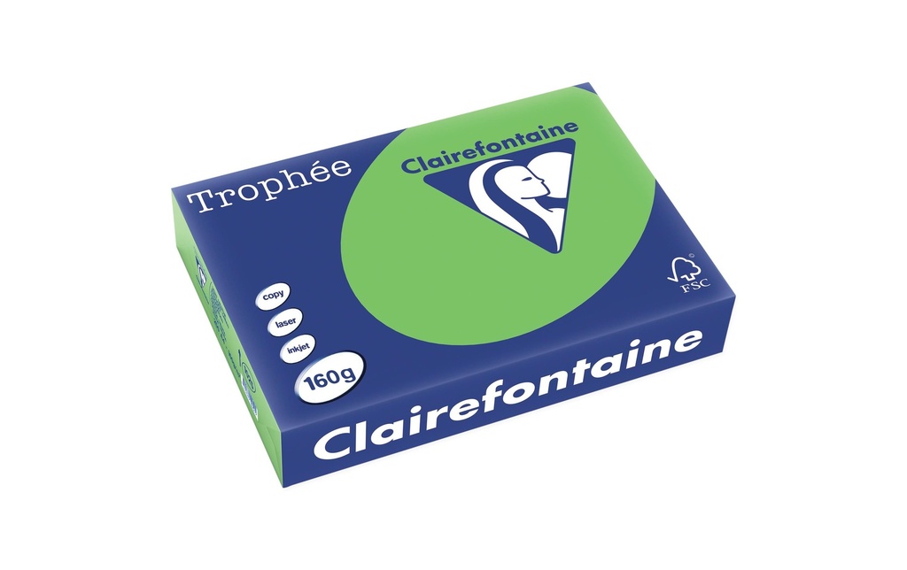 CLAIREFONTAINE Pap.copie A4 160g vert mai (250 pces)