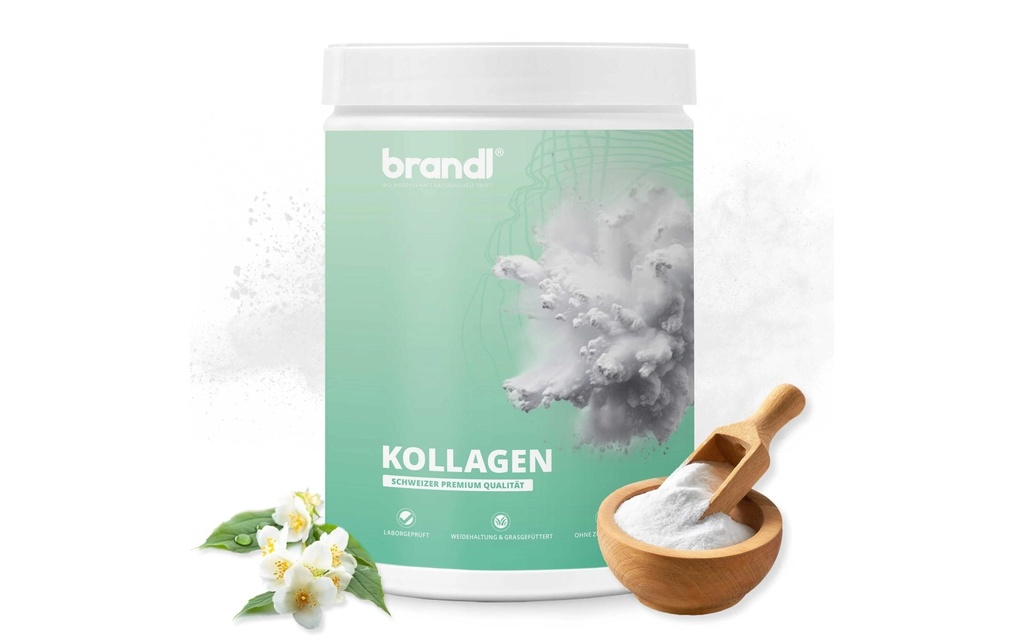 Brandl-Nutrition Poudre Collagène Beauty + 555 g