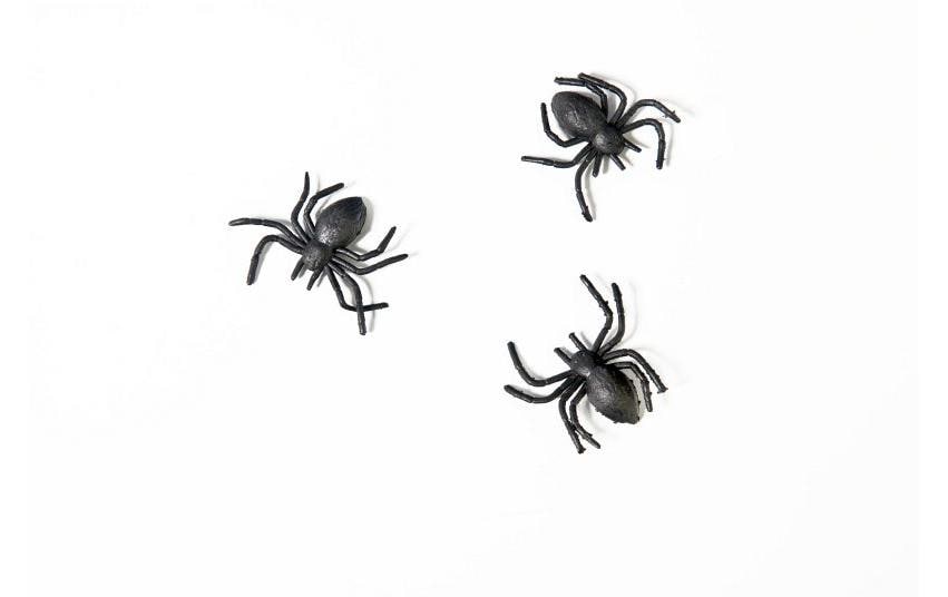 Partydeco Petites pièces Araignées en plastique Noir