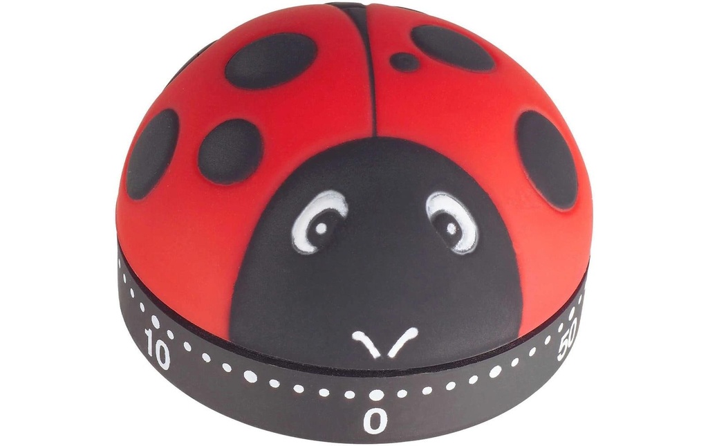 TFA Dostmann Minuteur de cuisine Coccinelle rouge/noir