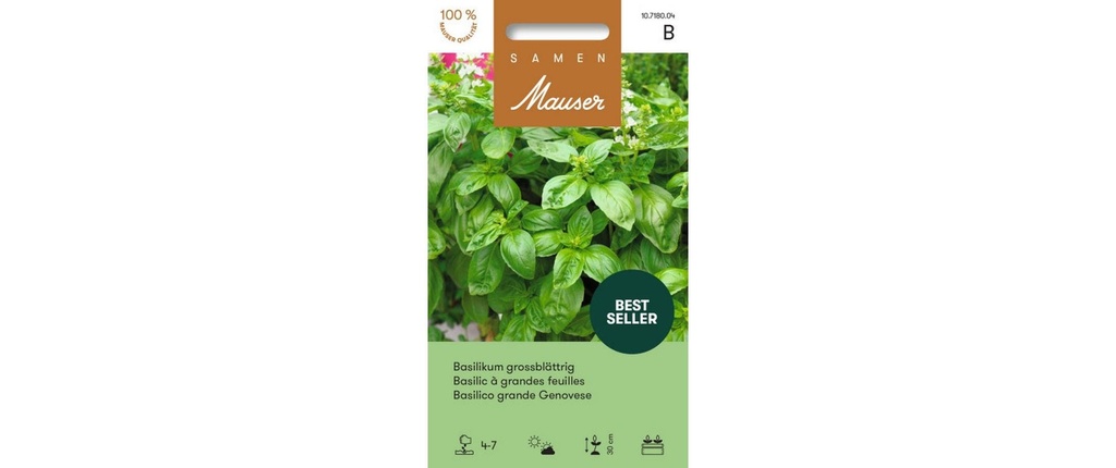 Samen Mauser Semence Basilic à grandes feuilles