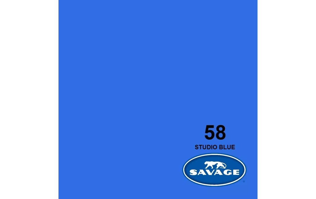 Savage Fond Papier 2.72 x 11m Studio Blue