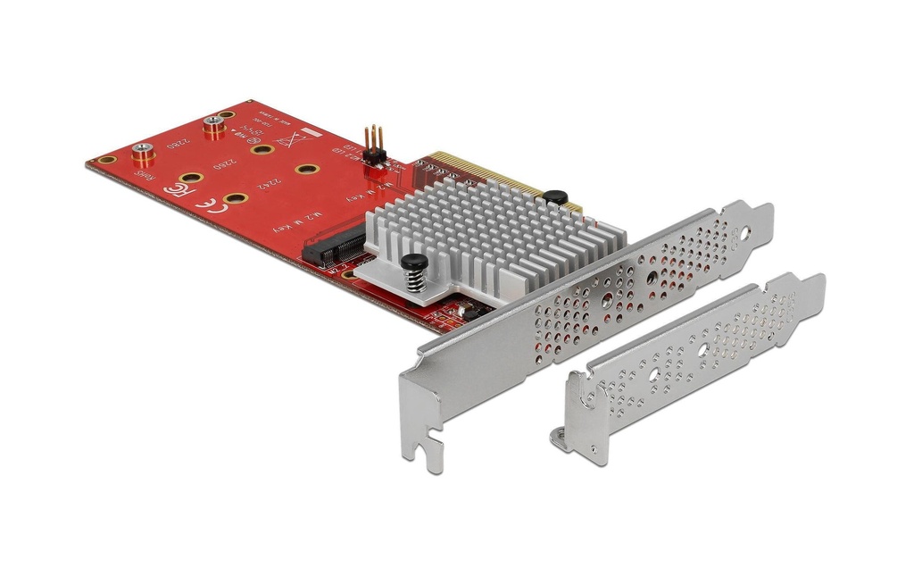 Delock Adaptateur de bus hôte 2x NVME M.2 SSDs, PCI-Ex8, amorçable