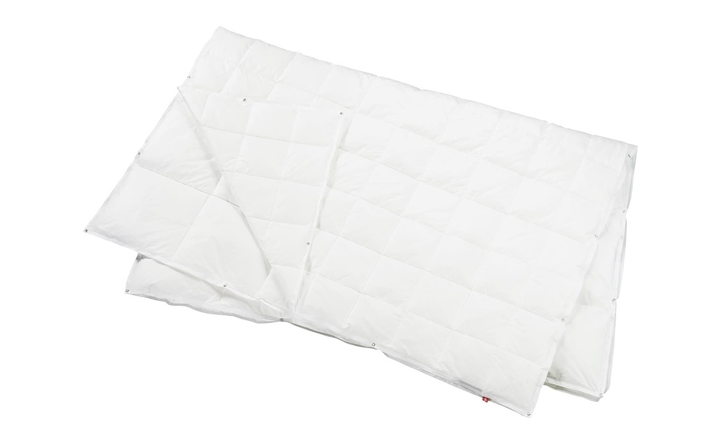 Billerbeck Duvet Oie recyclée 4-saisons 160 x 210 cm