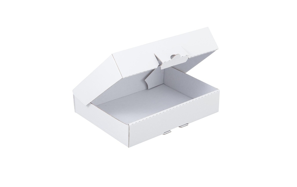 Brieger Carton d’expédition Boîte à clapet 22 x 15.5 x 4.5 cm