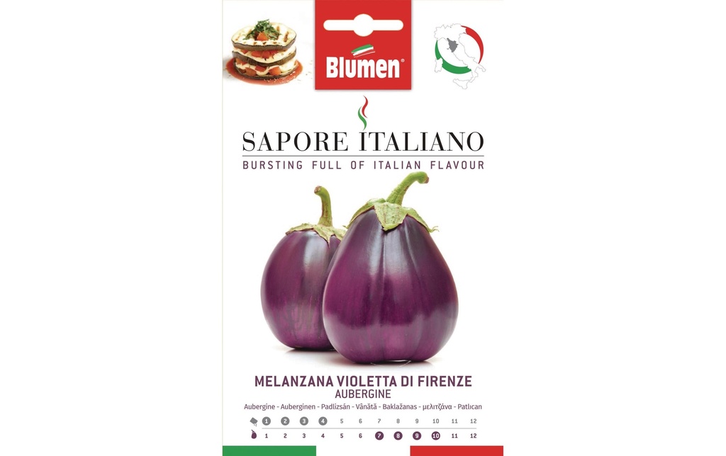 Blumen Semence Aubergine Violetta di Firenze